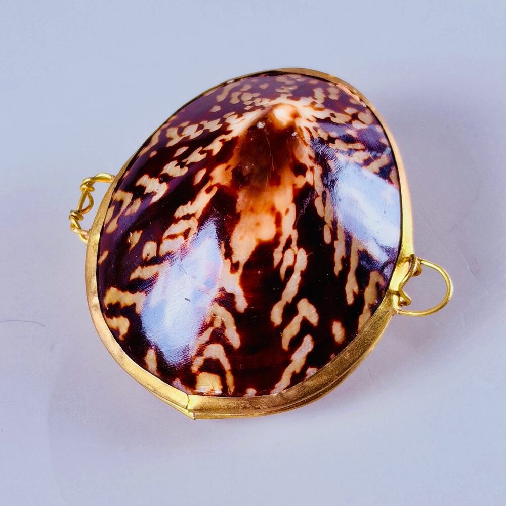 Tiger Leopard Cowrie Sea Shell Trinket Box Brass Frame Casket Clasp Lock 2.5”